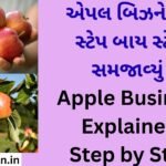 Apple Business Explained Step by Step