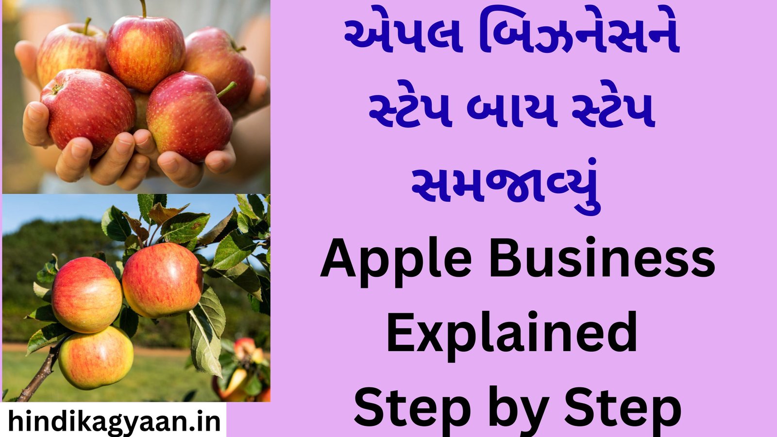 Apple Business Explained Step by Step