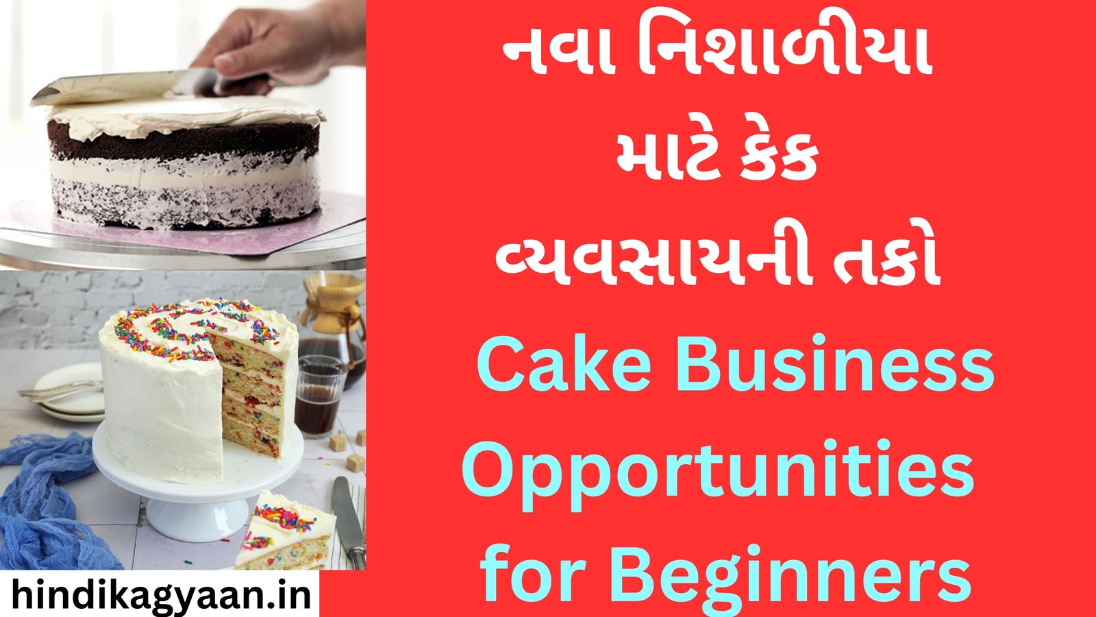 Cake Business Opportunities for Beginners