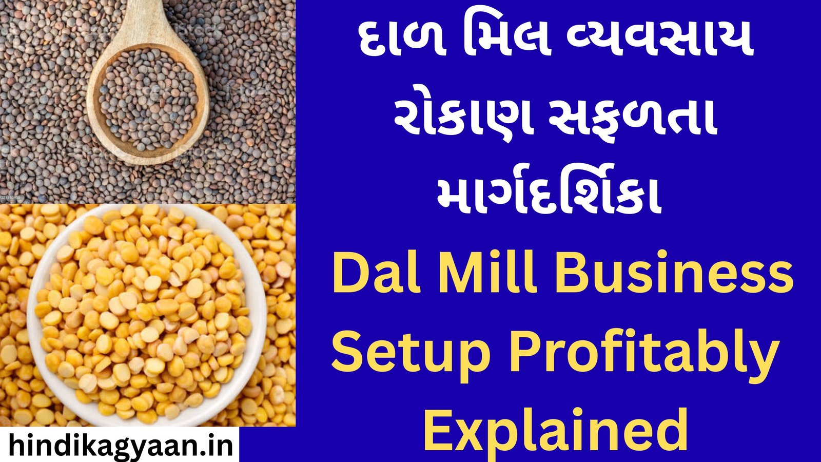 Dal Mill Business Setup Profitably Explained