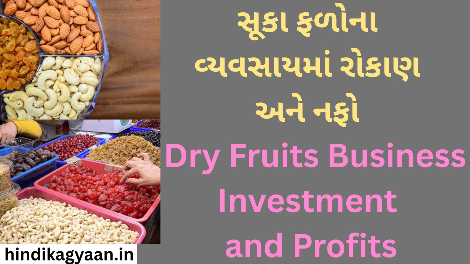 Dry Fruits Business Investment and Profits