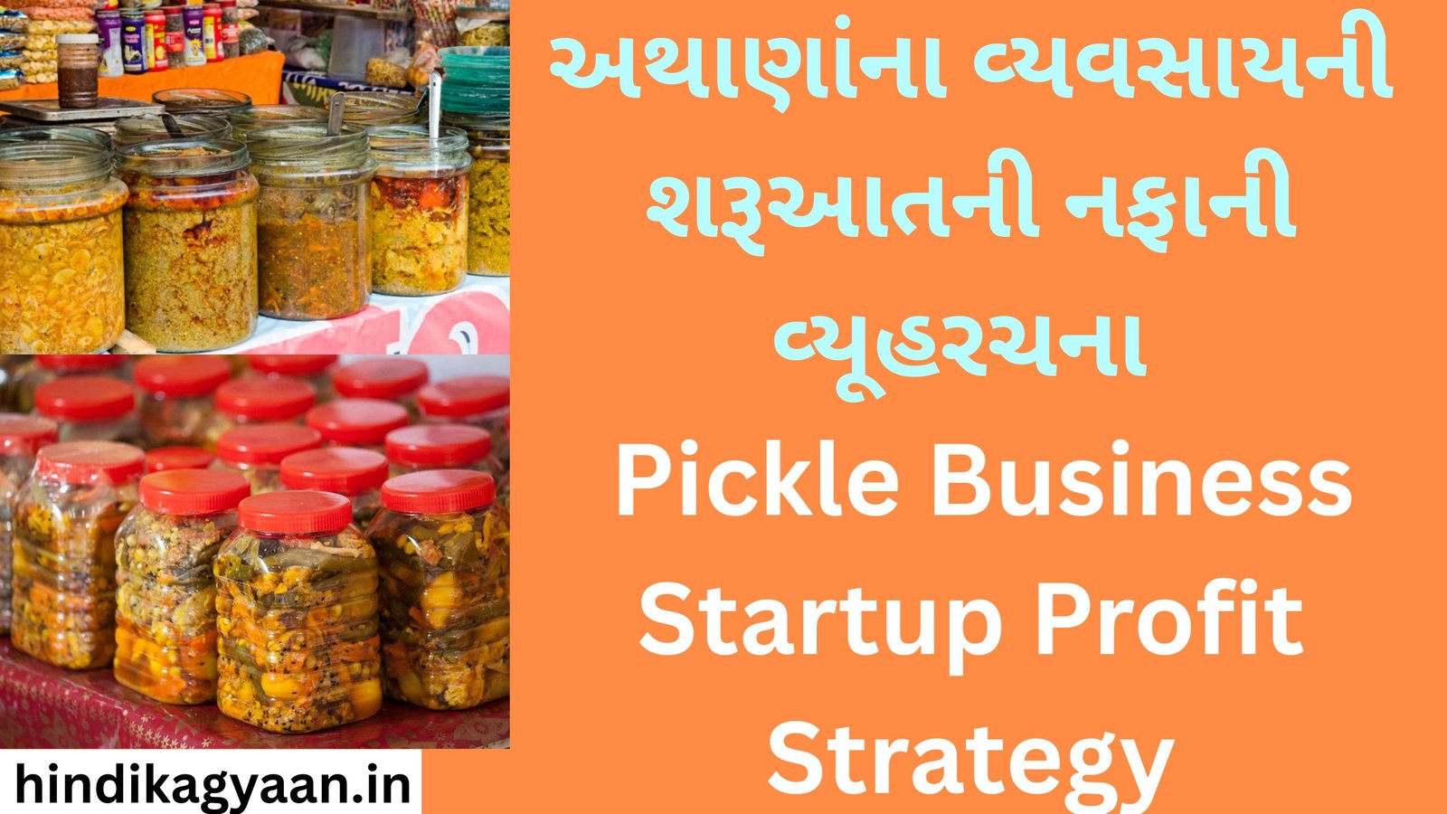Pickle Business Startup Profit Strategy