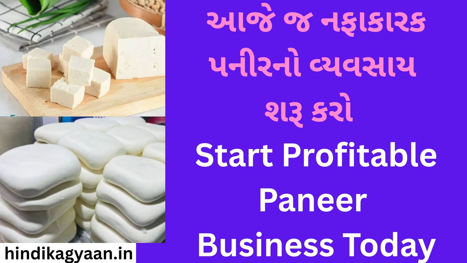 Start Profitable Paneer Business Today