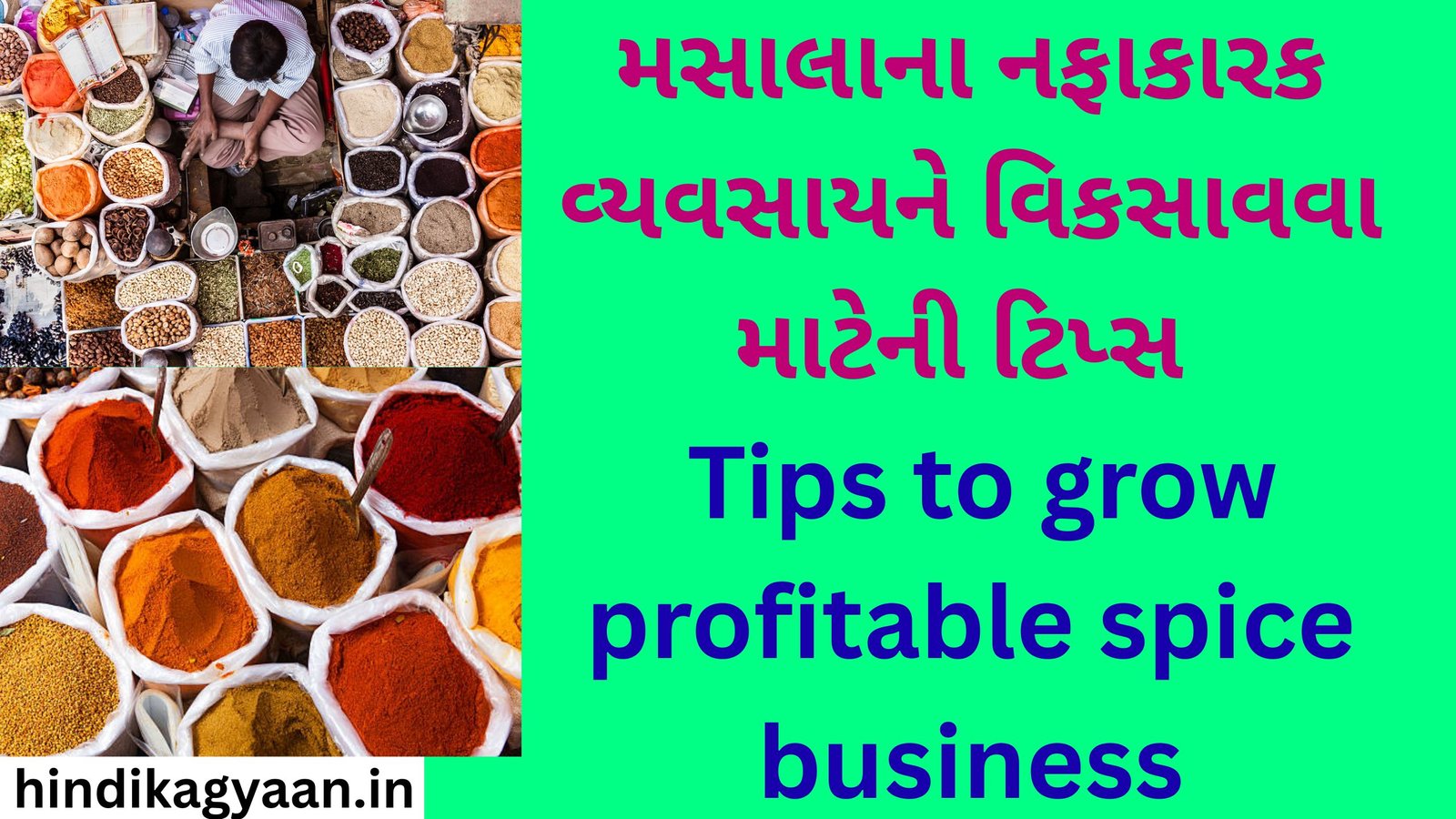 Tips to grow profitable spice business